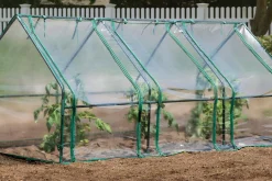 Miracle-Gro Patio Greenhouses|Portable Greenhouses-3 x 8 x 3 ft Clear Mini Greenhouse