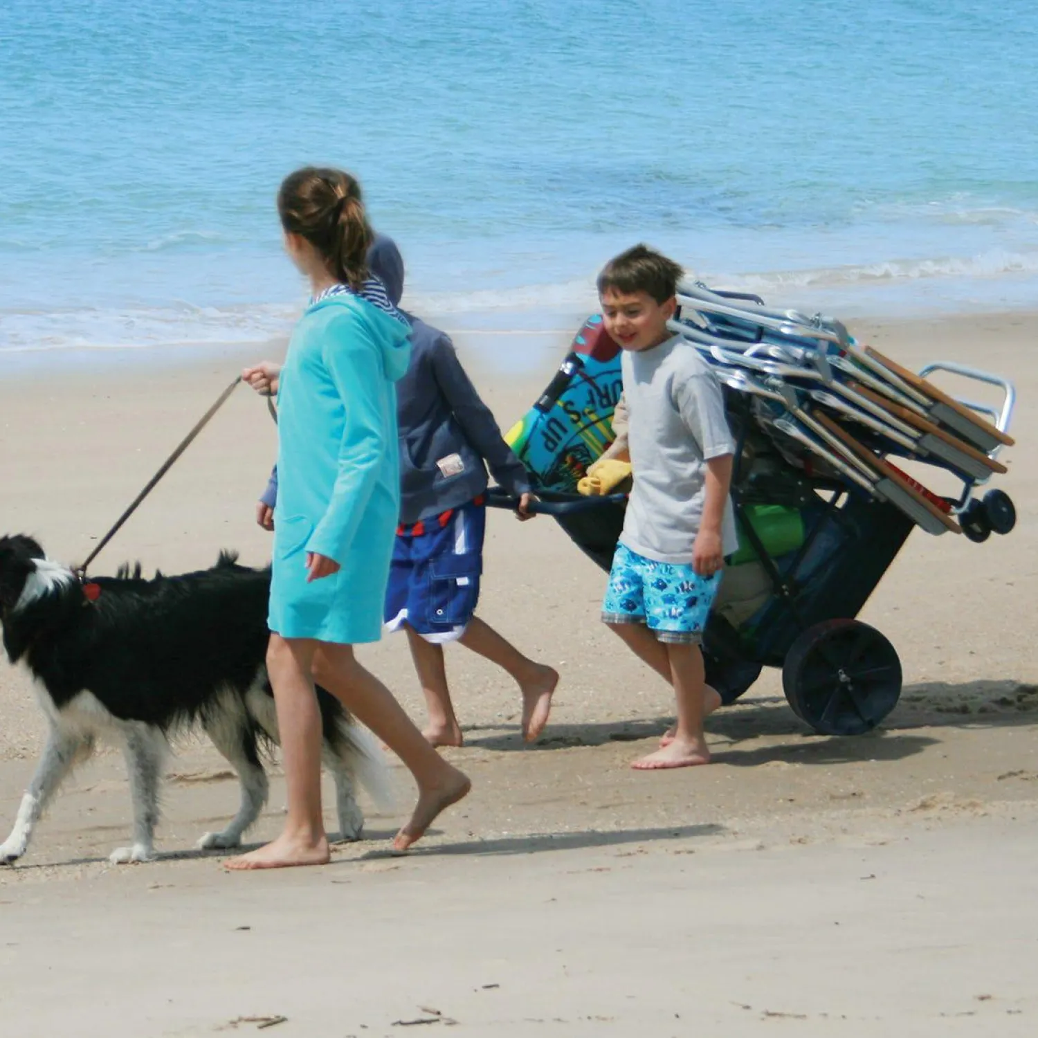 Rio Beach Beach Carts-Blue Wonder Wheeler