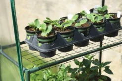 ShelterLogic Patio Greenhouses-Grow IT 5 x 2 x 6 ft Clear Small Greenhouse